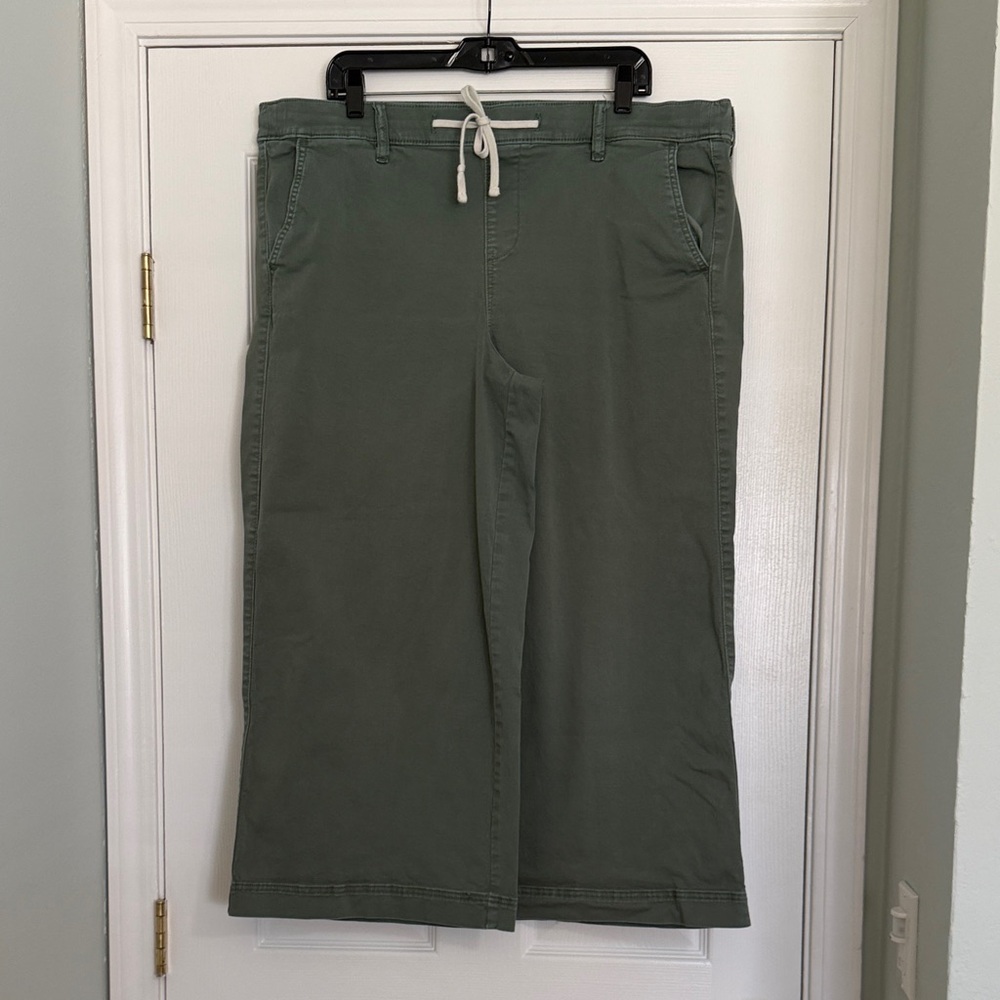Torrid Green Wide-Leg Ankle Pants sz2. EUC
